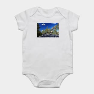 850_6891 Baby Bodysuit